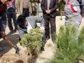 گزارش تصویری از آئیین درختکاری و تقدیر ازهمکاران فضای سبز دانشگاه